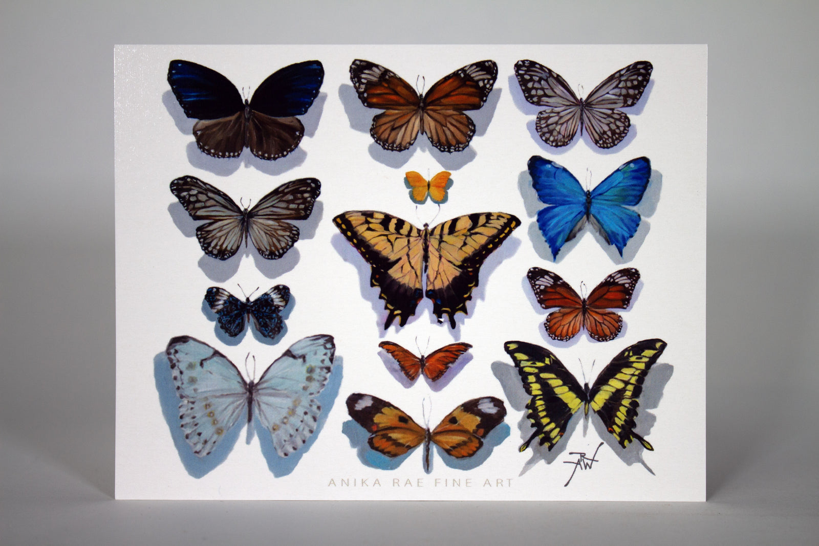 Butterfly Cards