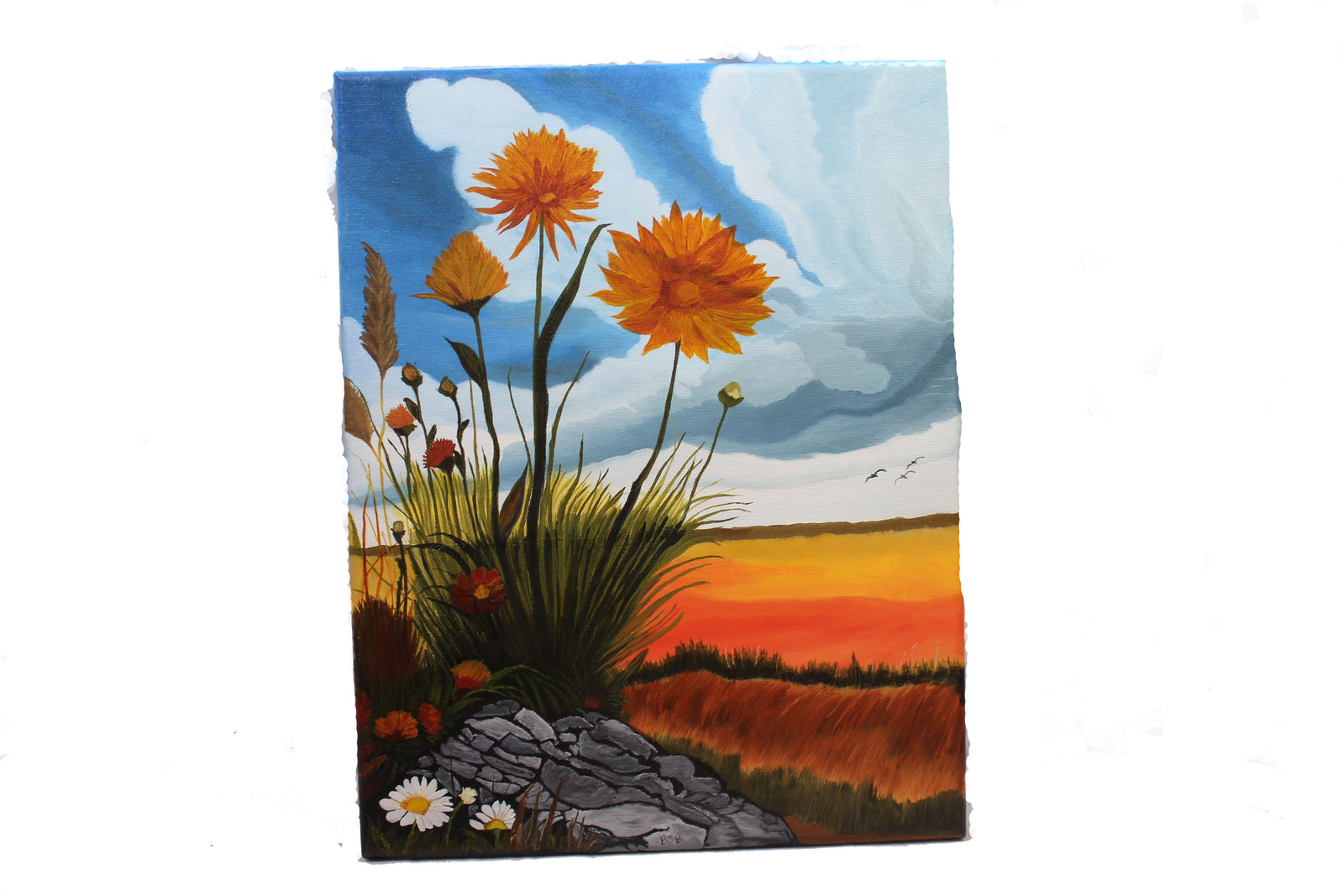 Wildflowers