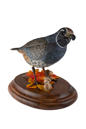 California Quail