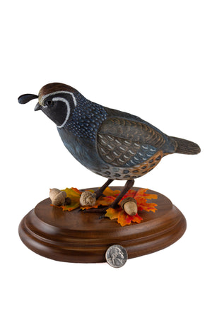 California Quail