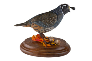 California Quail
