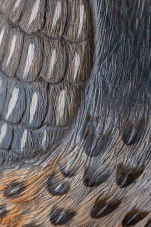 California Quail