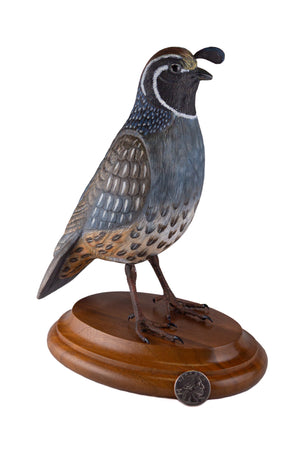 California Quail