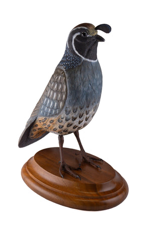 California Quail