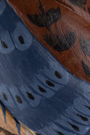 Kestrel Hawk
