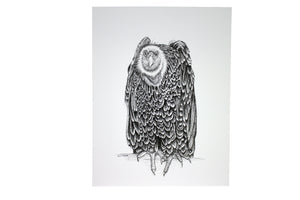 Bob the Buzzard