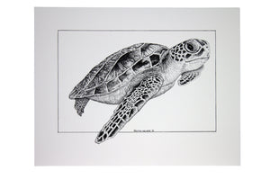 Kathy the Sea Turtle