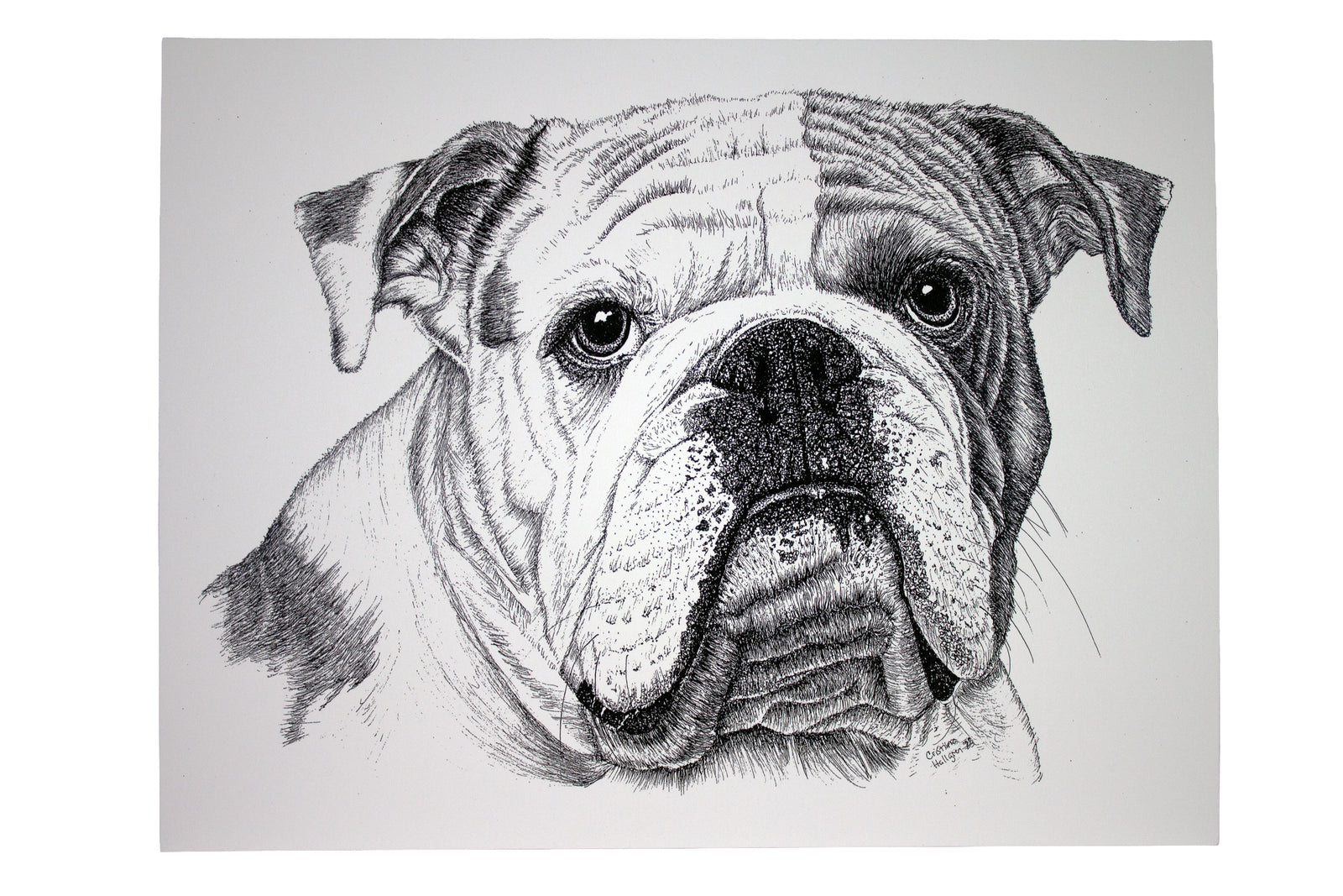 Squishy the Dog