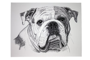 Squishy the Dog