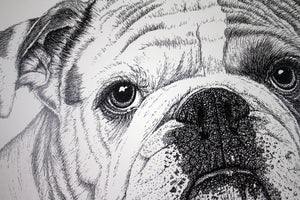 Squishy the Dog