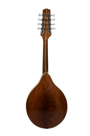 A Model Mandolin (Pick Up or In Person Purchase Only)