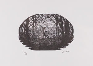 Buck Wood Engraving