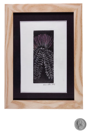 Mimosa Bloom-Engraving
