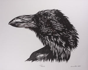Raven (Matted)