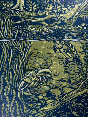 Water's Edge