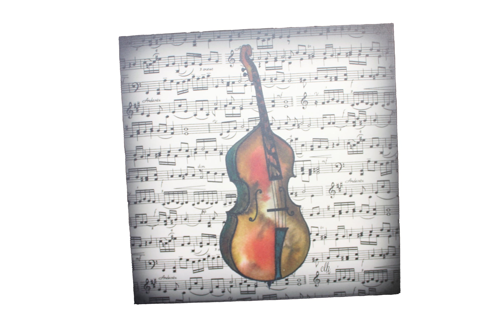 Bass Notes Canvas Print