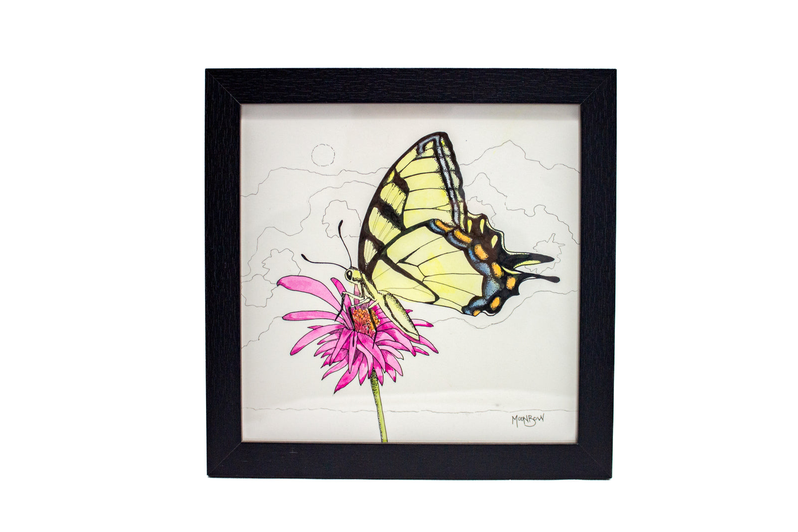 Eastern Swallowtail Butterfly