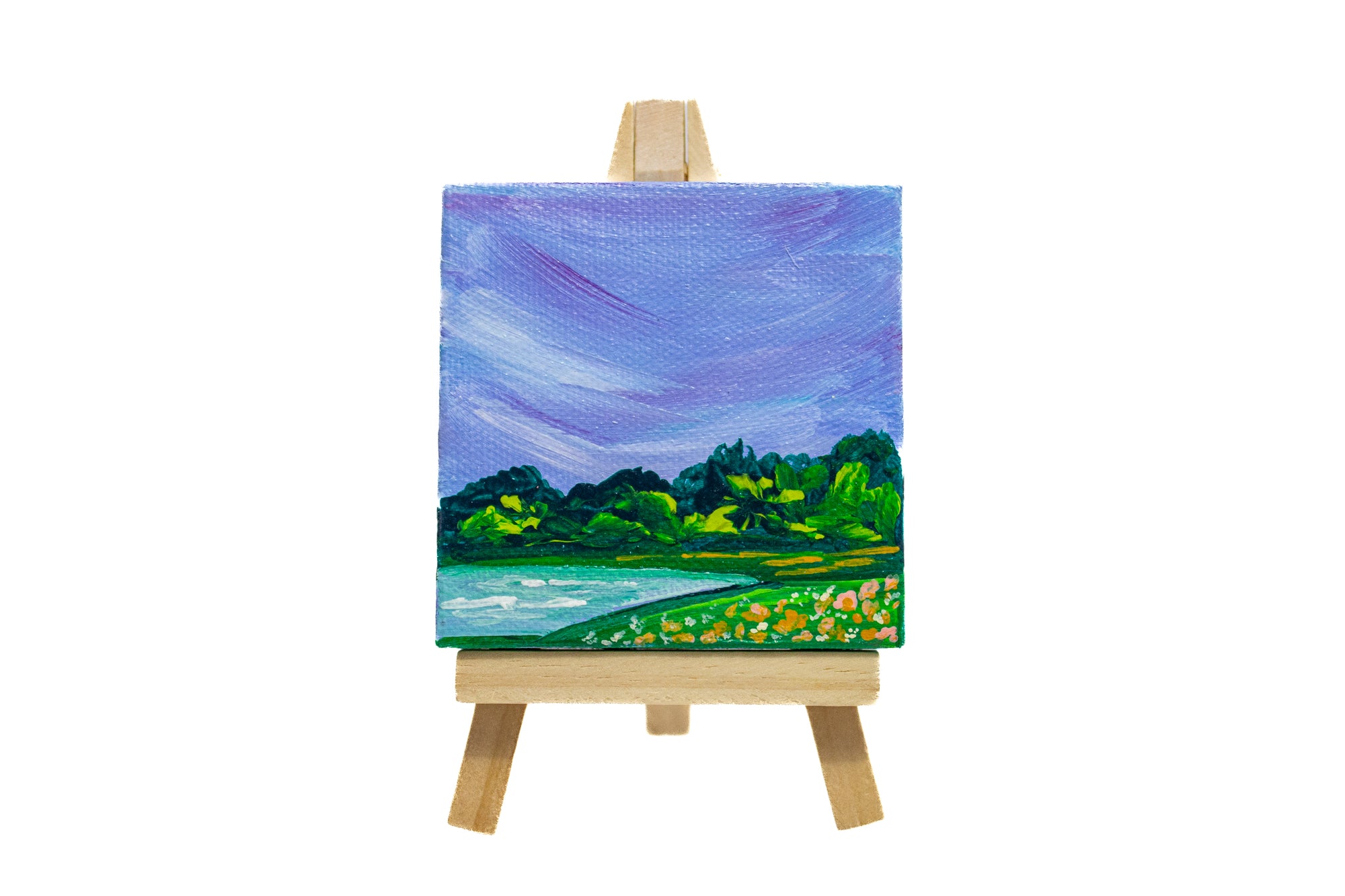 3x3 Mini Canvas w/ Easel (Landscape)