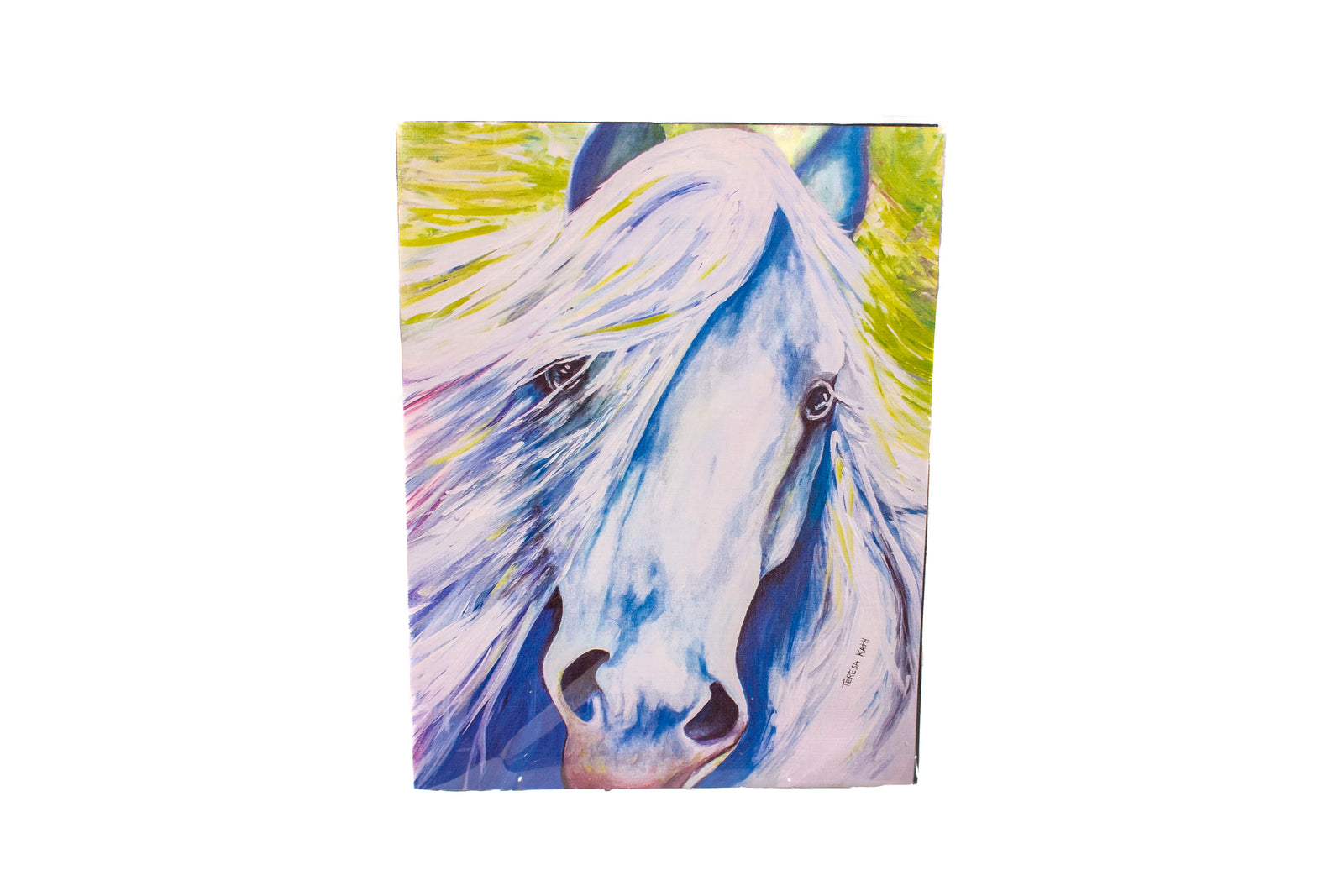 White Horse 11x14 Print
