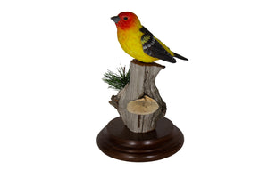 Western Tanager