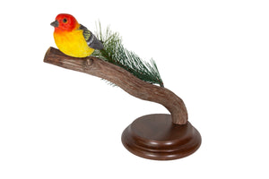 Western Tanager