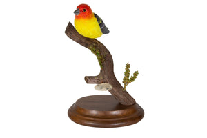 Western Tanager