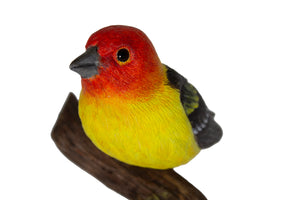 Western Tanager