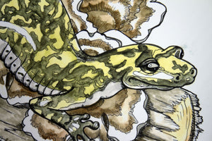 Assorted Giclee Prints