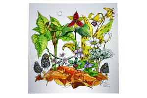 Assorted Giclee Prints