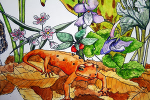 Assorted Giclee Prints