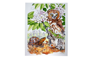 Assorted Giclee Prints