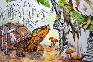 Assorted Giclee Prints