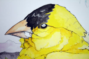 Assorted Giclee Prints