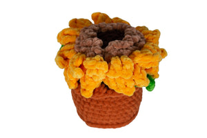 Crocheted Flower Pots