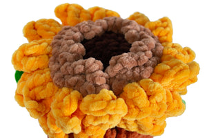 Crocheted Flower Pots