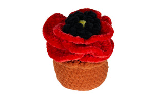 Crocheted Flower Pots