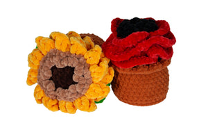 Crocheted Flower Pots