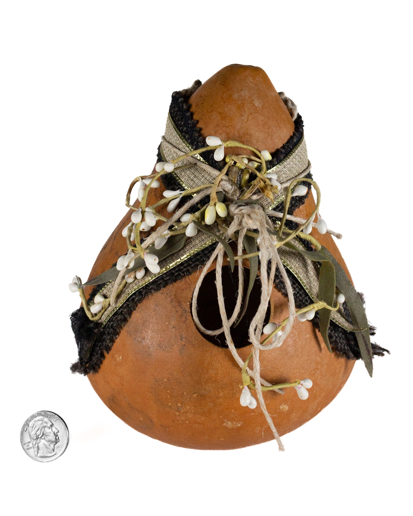 Bird House Gourd