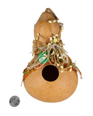 Bird House Gourd
