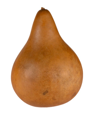 Natural Bear Claw Gourd