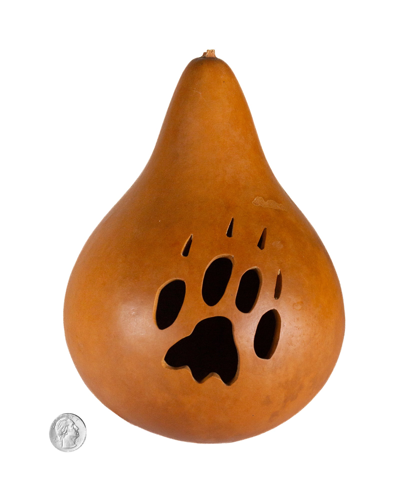 Natural Bear Claw Gourd