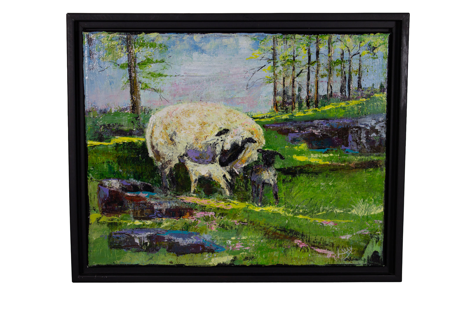 Mabel and Spring Lambs