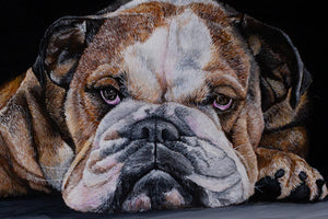 Bah Humbug (Bull Dog)