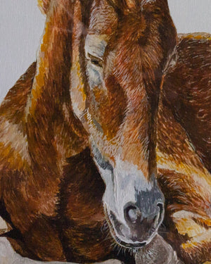 Foal Print