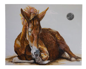 Foal Print