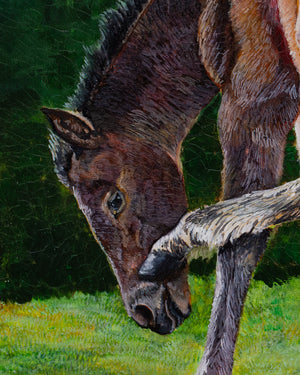 Yearling
