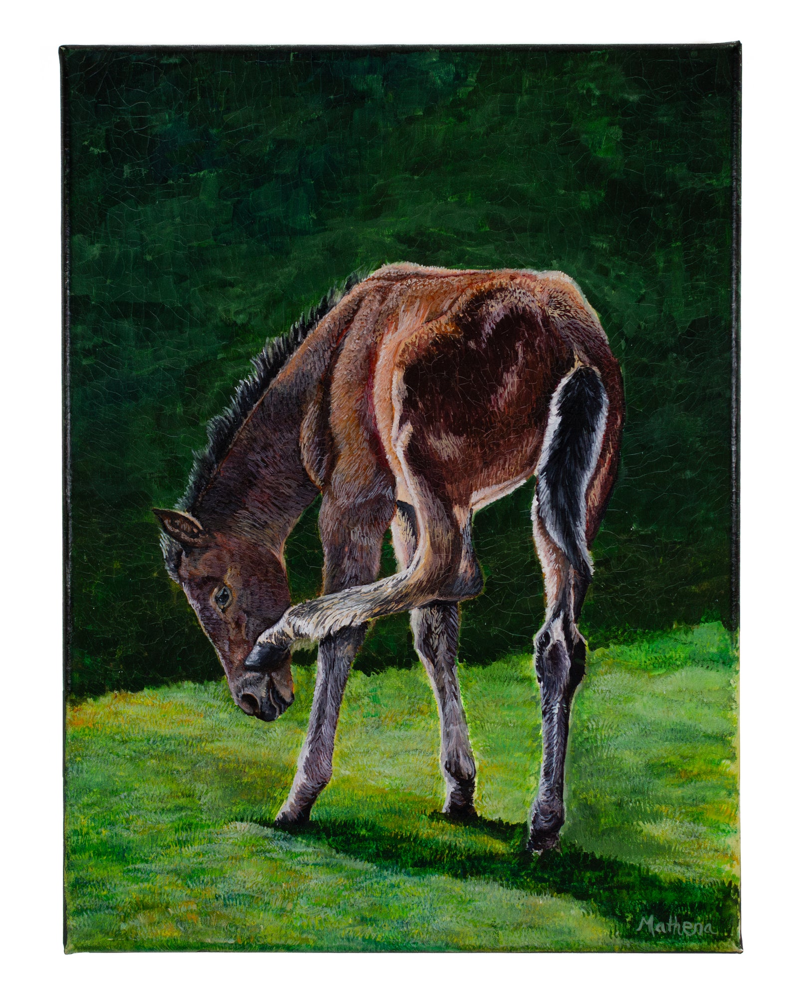 Yearling