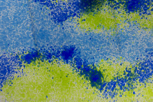 Glass Abstract Tray (Blue/Green)