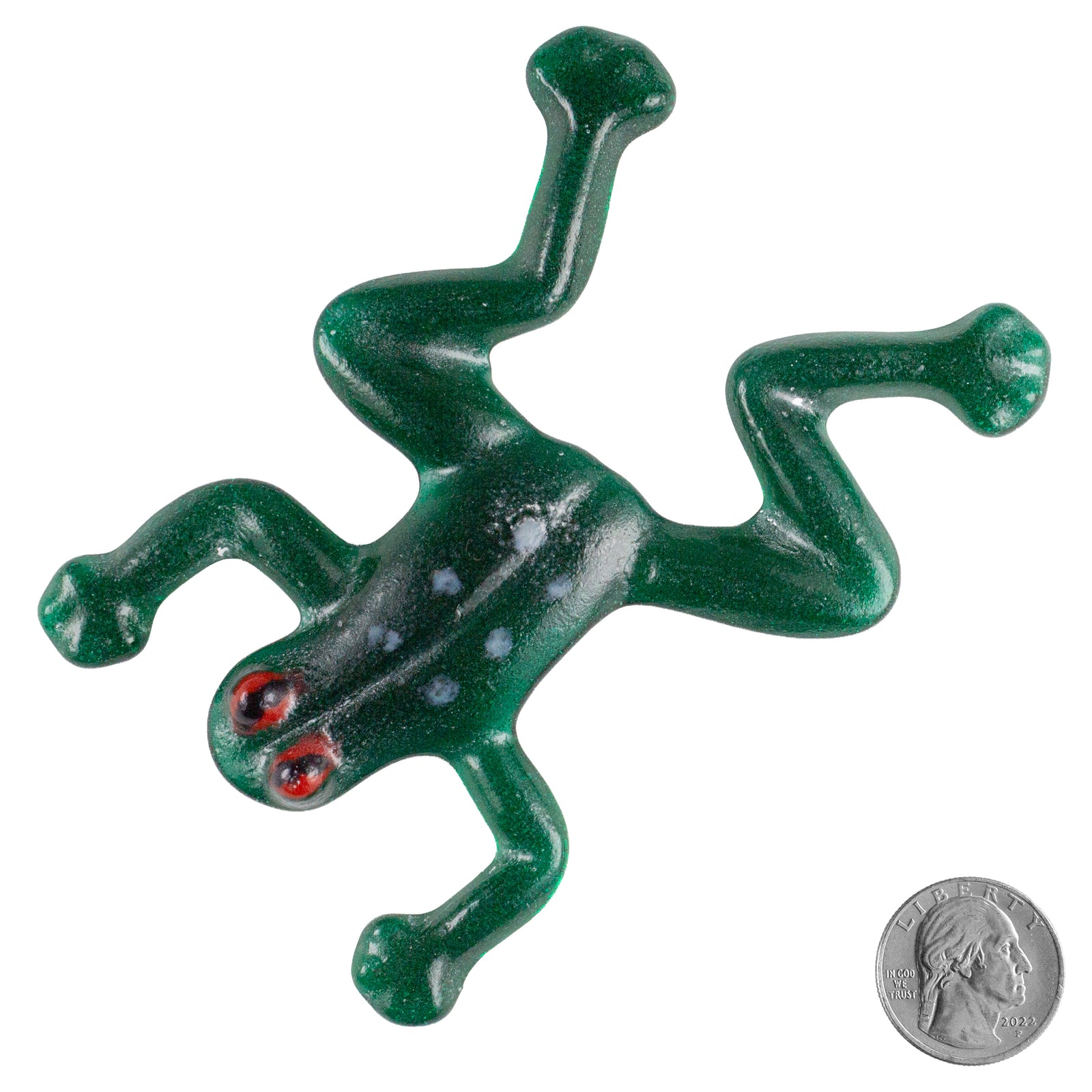 Glass Tree Frogs