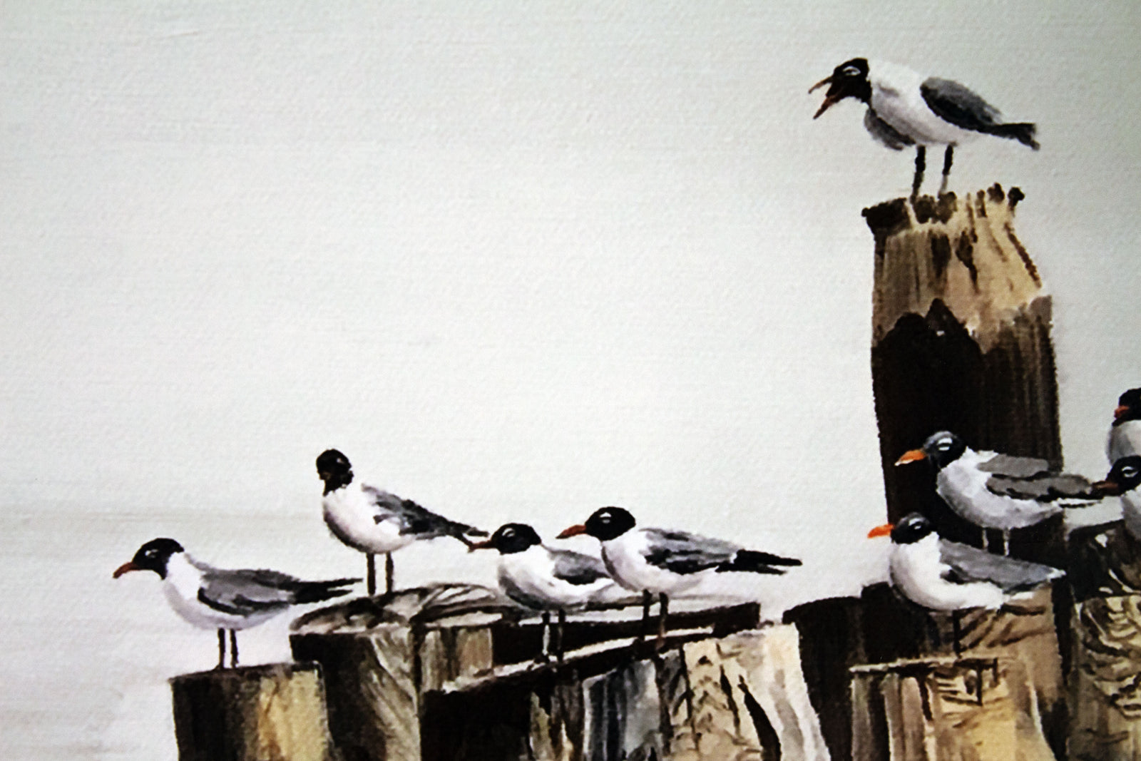 Gulls on Pilings-Print 16x20